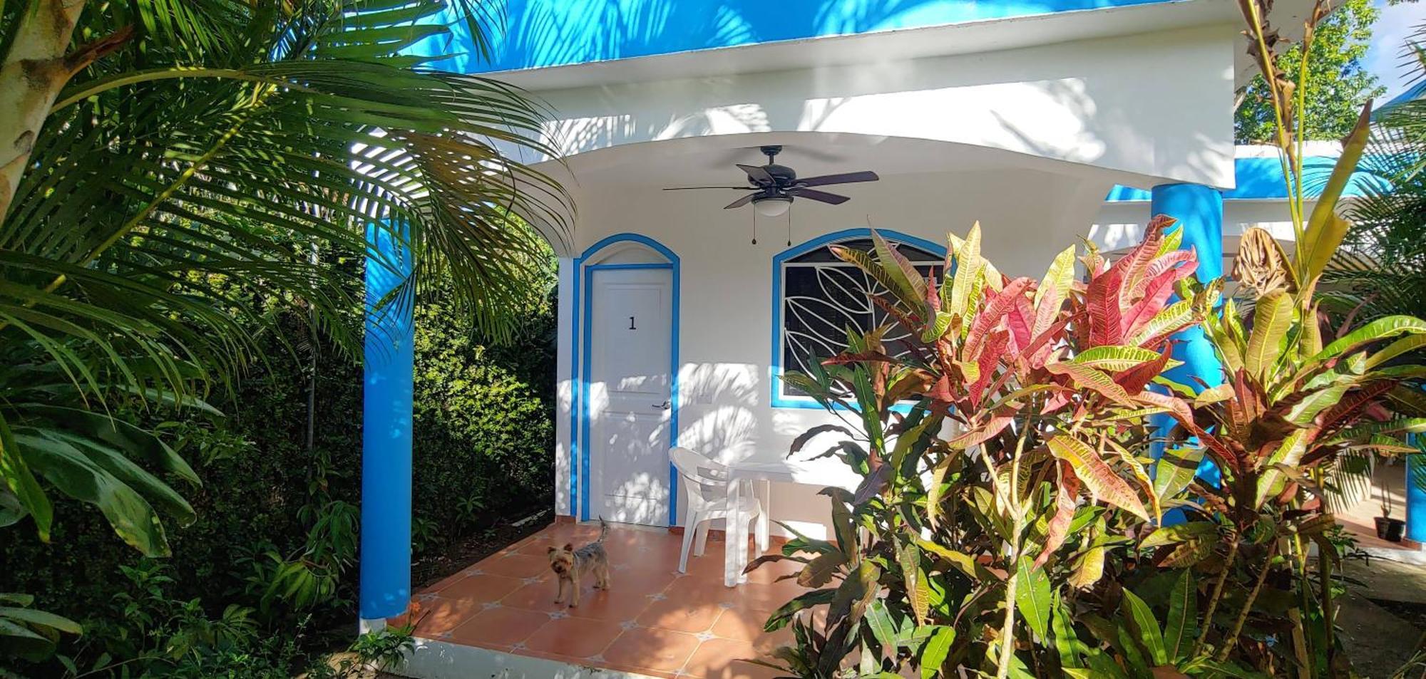 Chambre Bungalow2 Las Terrenas Exteriör bild
